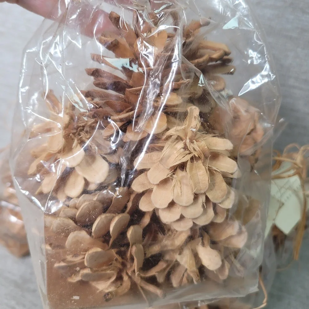 Pottery Barn Small Bleached Pinecones 5 Bags Decorative Bowl or Vase Filler NEW